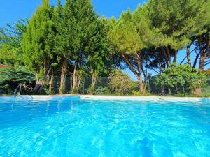 a large pool of blue water with trees in the background at Logis Hotel Le Prince Noir in Sérignac-sur-Garonne