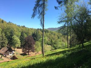 a hillside with a house in the middle of a field at Domaine du Petit Dorsbach in Soultzbach-les-Bains +2 photos