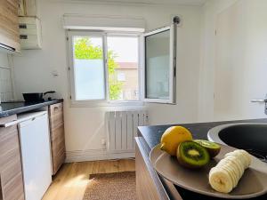 Kuchyň nebo kuchyňský kout v ubytování Appartement climatisé avec terrasse - Goupama Stadium, Eurexpo, LDLC Arena, La Soie + 5 fotografií