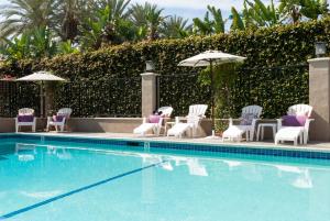 una piscina con sillas y sombrillas en Alpine Inn near Convention Center and the Park en Anaheim