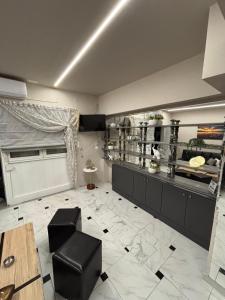 Η κουζίνα ή μικρή κουζίνα στο Diamond studio +9 φωτογραφίες