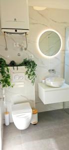 a bathroom with a toilet and a sink and a mirror at Blu infinito Apartment&studios in Rovinj +94 photos