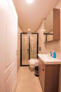 a bathroom with a shower and a toilet and a sink at Mar Residence in Istanbul +89 photos
