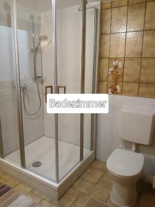 a bathroom with a shower and a toilet at Elisabeth Decker in Zeltingen-Rachtig