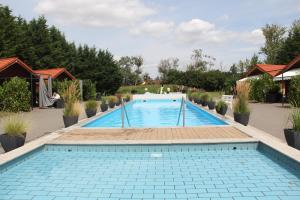 a large swimming pool in a garden with plants at Paschlewwer Freizeit & Ferienhof in Köthen