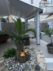 Zahrada ubytování Studio Green Patio