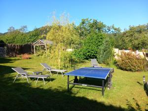 Stolný tenis v ubytovaní Le Rucher de St Pierre alebo v jeho okolí