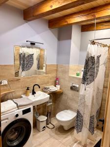 a bathroom with a washing machine and a sink at Zagroda Podlas - gospodarstwo agroturystyczne 2 in Aleksandrów