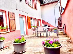 a patio with pots of flowers and a table and chairs at Chez Schumi in Kirchheim