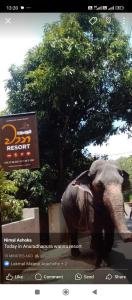 Fotografie z fotogalerie ubytování Alankulama Wana Resort v destinaci Anuradhápura
