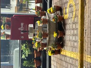 a wall with flower planters on the side of a building at شقق فايا in Jazan +2 photos