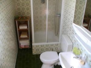 een badkamer met een douche, een toilet en een wastafel bij Ferienwohnung Kaiser in Reifferscheid