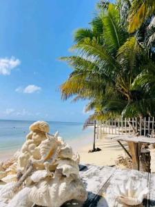 Příroda nedaleko penzionu