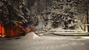 Obiekt Domek Raj Zakopane zimą