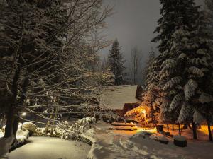 Obiekt Domek Raj Zakopane zimą