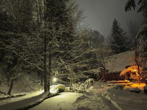 Obiekt Domek Raj Zakopane zimą