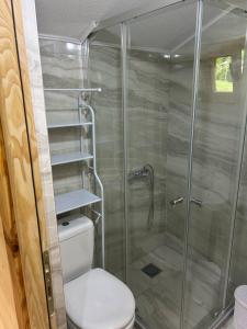 a bathroom with a shower with a toilet at Alpet in Vusanje