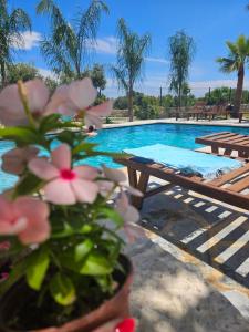 Бассейн в Villa Tonia Livadh Himare или поблизости