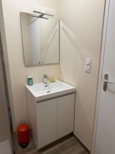 a bathroom with a sink and a mirror at Les Paddocks du Damier Manceau in Marigné-Laillé