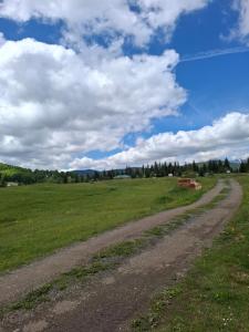 een onverharde weg in het midden van een veld bij Cottage Martina in Žabljak