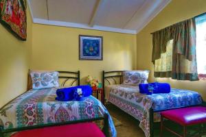 Gallery image of Twelve Hummingbirds Andes Retreat in Paute