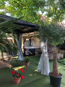 豪伊杜索博斯洛A-BB-LAK的有帐篷、棕榈树和鲜花的花园