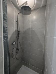 eine Dusche mit Duschkopf in einem Badezimmer in der Unterkunft Joli appartement cœur de ville in Poitiers