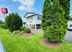 a large green bush in front of a house at Red Carpet Inn - Stamford in Stamford