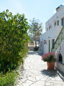 una pasarela de piedra junto a un edificio con una planta en Stefanie Studios, en Aegina Town