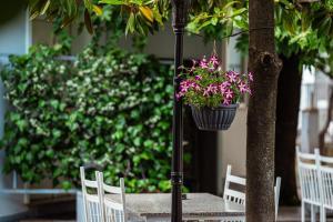 Giardino di Hotel Blini