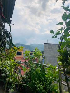 Paisaje cerca de este hotel
