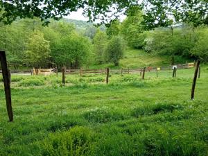 a field of green grass with a wooden fence at Caravane le fermier in Cunlhat
