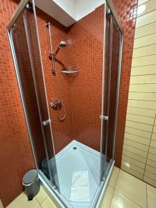 a shower with a glass door in a bathroom at Pensiunea Magura in Măgura