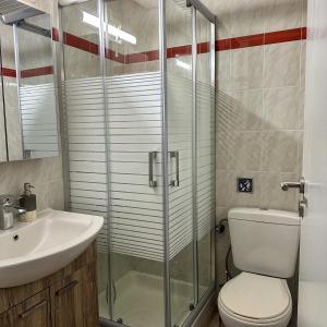 a bathroom with a shower and a toilet and a sink at Dolphin Studio in Stalida