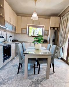 eine Küche mit einem Tisch und einer Pflanze darauf in der Unterkunft Sunrise Suite in Olympiada