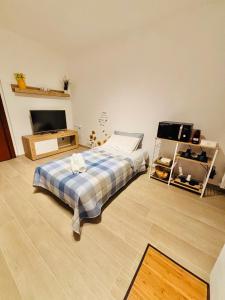 a bedroom with a bed and a flat screen tv at A casa mia in Modena