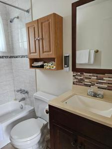 a bathroom with a toilet and a sink and a mirror at Motel de l'Outlet in Magog-Orford +30 photos