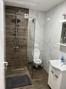 a bathroom with a shower with a toilet and a sink at Sunny Beach in Veliko Gradište