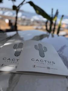 Fotografia z galérie ubytovania Cactus Suites vo Faliraki