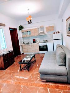 Kuchyň nebo kuchyňský kout v ubytování Athina's Mon Repo Apartment