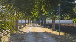 Fotografia z galérie ubytovania Villa Aljara v destinácii Ronda