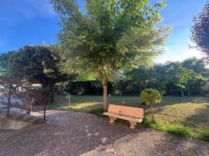 Gallery image of Antonia House in Rosignano Marittimo