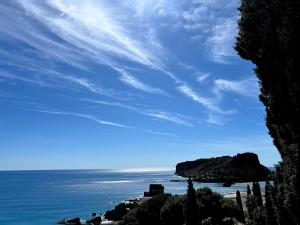 Gallery image of Villa Nappi Bed & Breakfast in Praia a Mare +49 photos