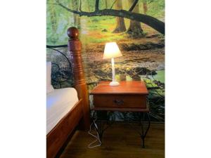 une table avec une lampe à côté d'un lit dans l'établissement Holiday home with 3 bedrooms, à Sankt-Andreasberg 10 autres photos