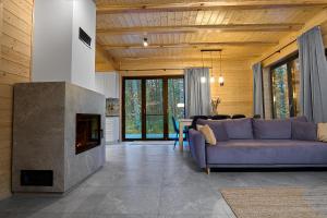 ein Wohnzimmer mit Couch und Kamin in der Unterkunft Na Las Czas, Wilga in Wilga