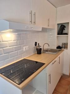 una cocina con estufa y fregadero en Le jardinet d'Emma - Appart RDC avec jacuzzi, parking, au calme, en Raphèle 5 fotos más