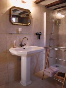 a bathroom with a sink and a shower and a mirror at La Gentilhommiere in Lerné