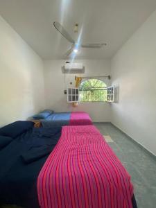 Postel nebo postele na pokoji v ubytování Casamaya Hostel & Diving + 37 fotografií