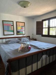 Katil atau katil-katil dalam bilik di Toro Vista Casita - 1-2 bedrooms +16 gambar