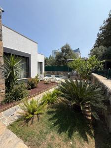 a garden with palm trees and a house at Villa Adventure in Bodrum City